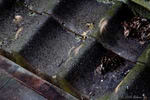 Eclipse on a Japanese roof tile