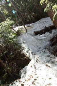 Snow on the trail